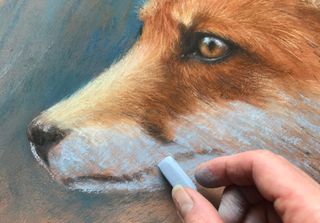 how to draw a fox - image of a fox in pastels