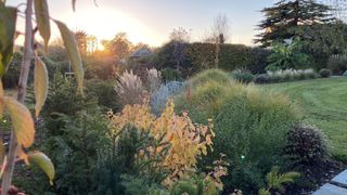 Professionally landscaped garden with grasses in borders and Miscanthus Sinesis
