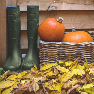 A pair of wellington boots, basket of pumpkins and dried autumn leaves on a doorstep outside a wooden clad building.