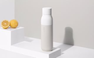 LARQ sustainable water bottles with fruit