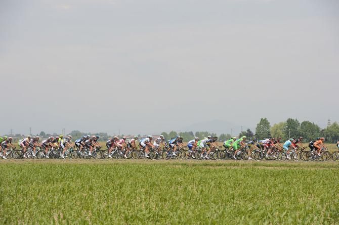 The peloton at the Giro d'Italia