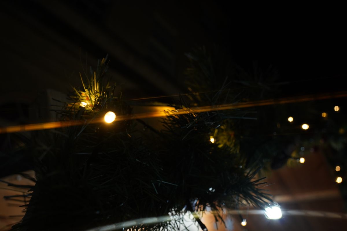 Moment CineFlare Gold Streak Filter review