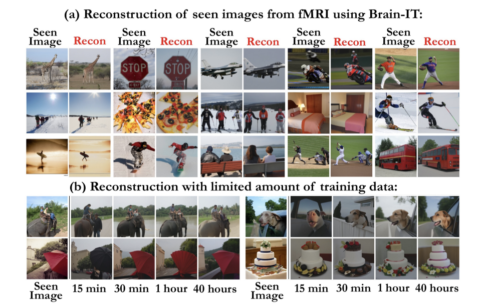 Samples of the AI