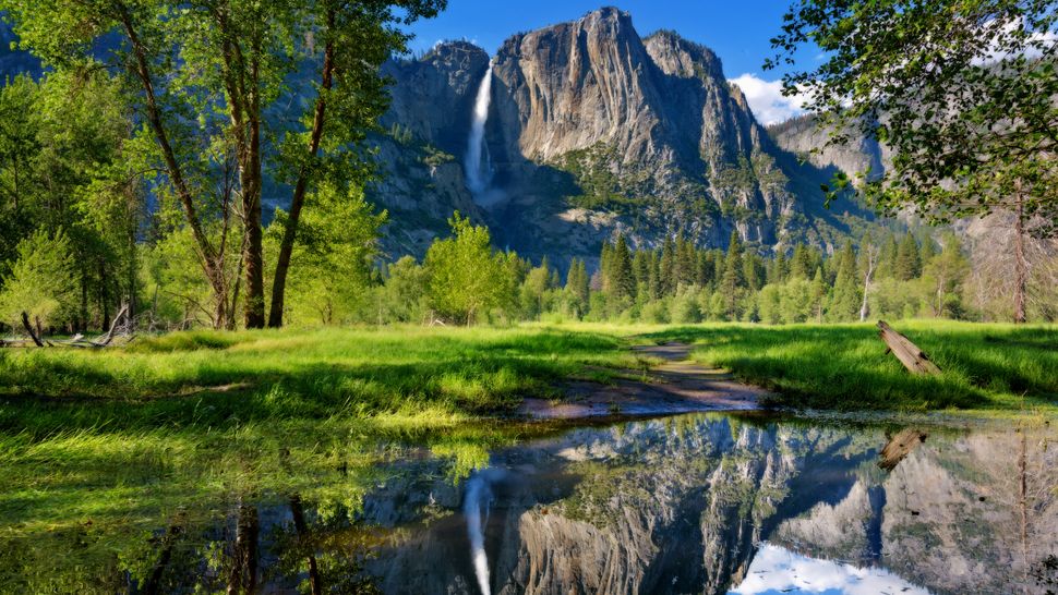 Yellowstone vs Yosemite: which National Park is for you? | Advnture