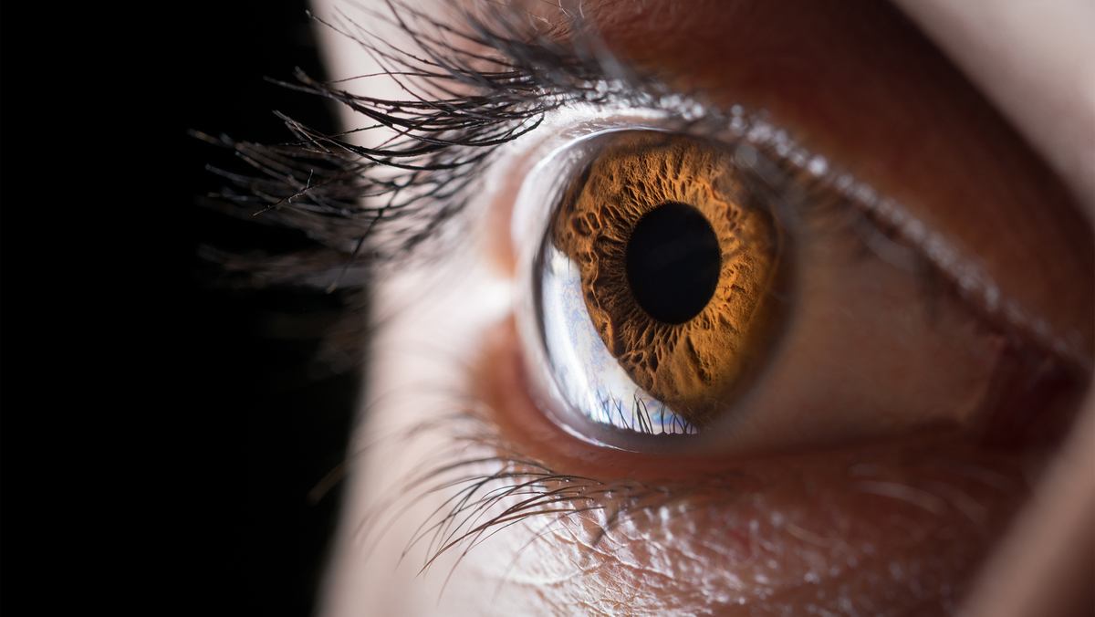 Meet the scientists 3D printing corneas to restore people's vision, potentially filling a worldwide shortage of transplantable tissue