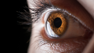 A close up of a light brown eye looking to the left