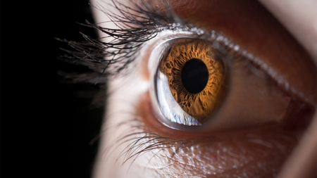 A close up of a light brown eye looking to the left