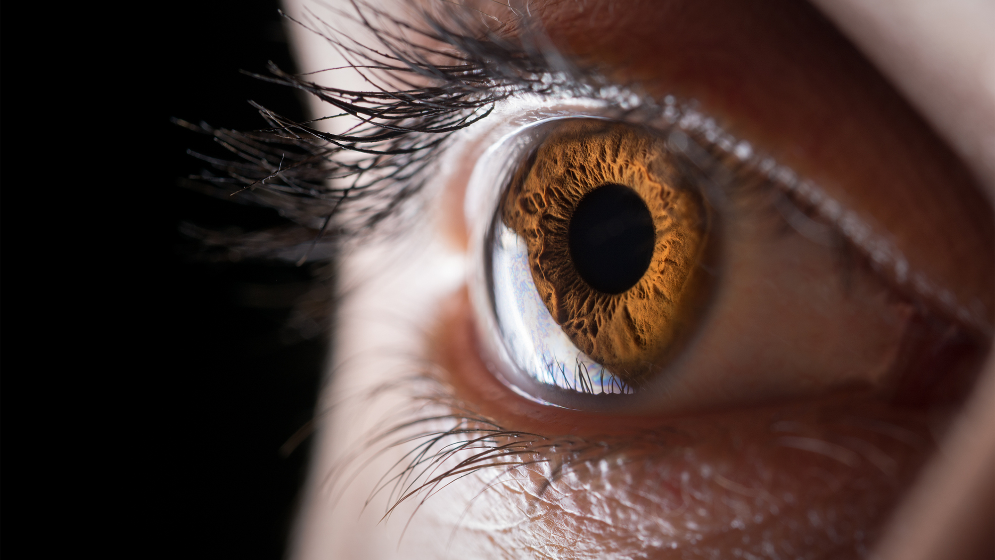 A close up of a light brown eye looking to the left