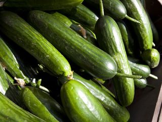 Photo of Cucumbers