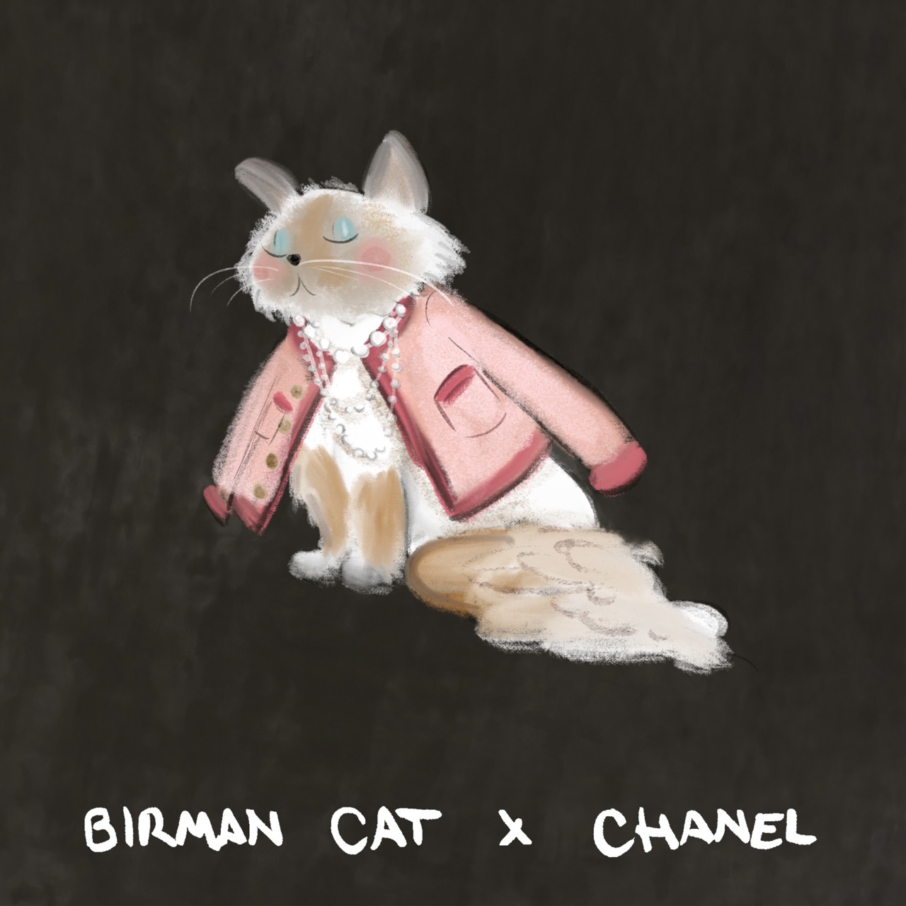 A series of twelve illustrated animals styled as luxury fashion designers: an Afghan hound in a slouchy blush Chlo&amp;eacute; coat; an Airedale Terrier in a navy Ralph Lauren sweater on a tartan blanket; a beagle carrying a classic Louis Vuitton handbag while wearing a monogrammed scarf; an English bulldog in a chunky cream Connolly jumper with green gloves beside it; a Birman cat in a pink Chanel jacket layered with pearls; a corgi standing proudly on an orange Herm&amp;egrave;s box with a silk scarf and pink Birkin-style bag; a long-haired dachshund in a soft cream Brunello Cucinelli cardigan; a Dalmatian posing in a dramatic Dior hat with a veil and a black umbrella; a fox red Labrador wearing a Burberry check headscarf; a poodle strutting in oversized Celine sunglasses and a gold medallion necklace; a Springer spaniel wrapped in an oversized green Barbour jacket beside wellington boots; and a Weimaraner in a sleek black Giorgio Armani turtleneck and dark sunglasses.