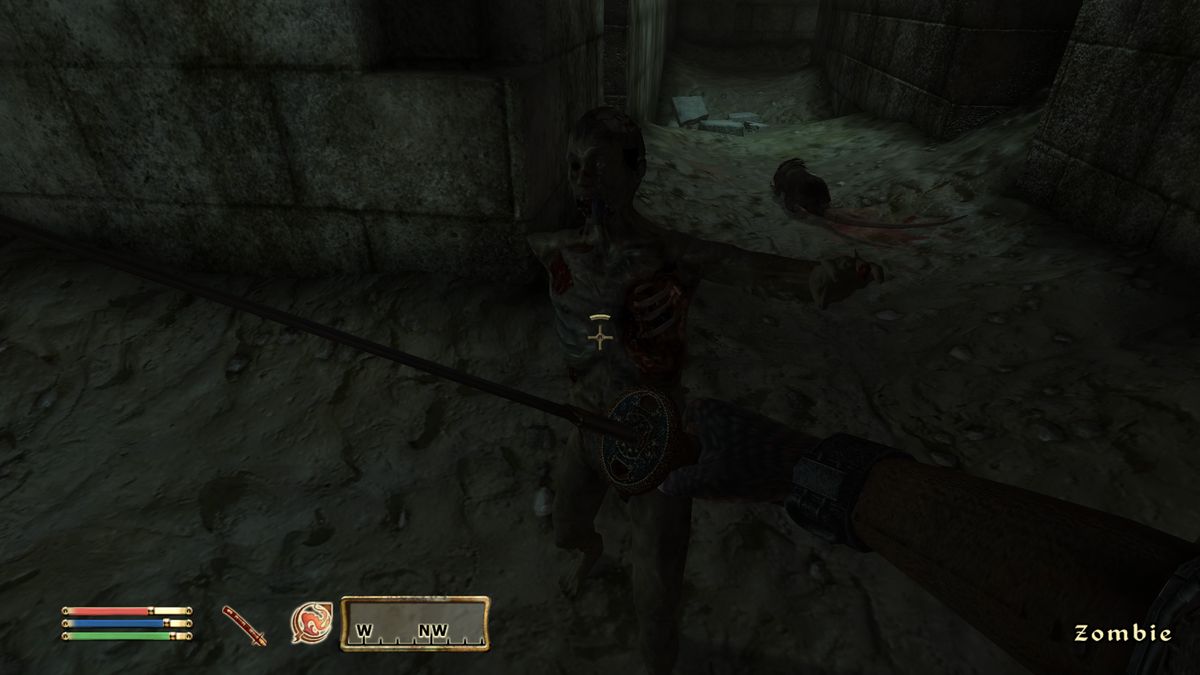 Oblivion modding