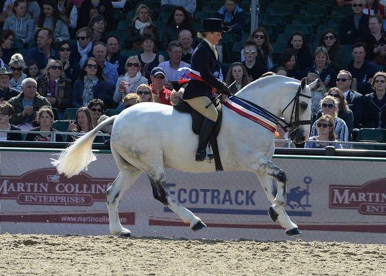 HorseNo813_RWHS16pn_5712A.jpg