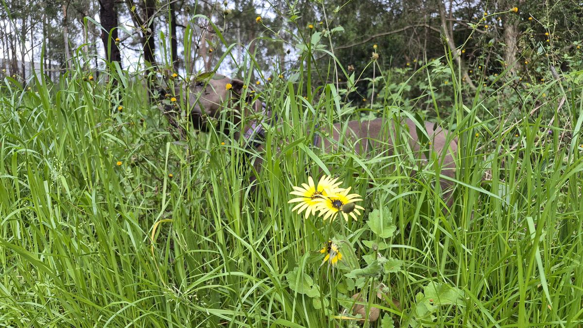 Photos taken with the Samsung Galaxy S25 FE