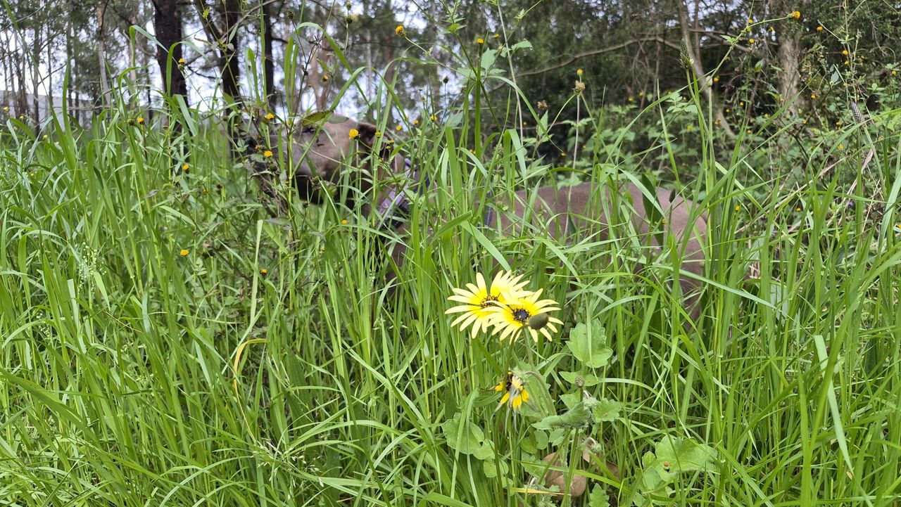 Photos taken with the Samsung Galaxy S25 FE