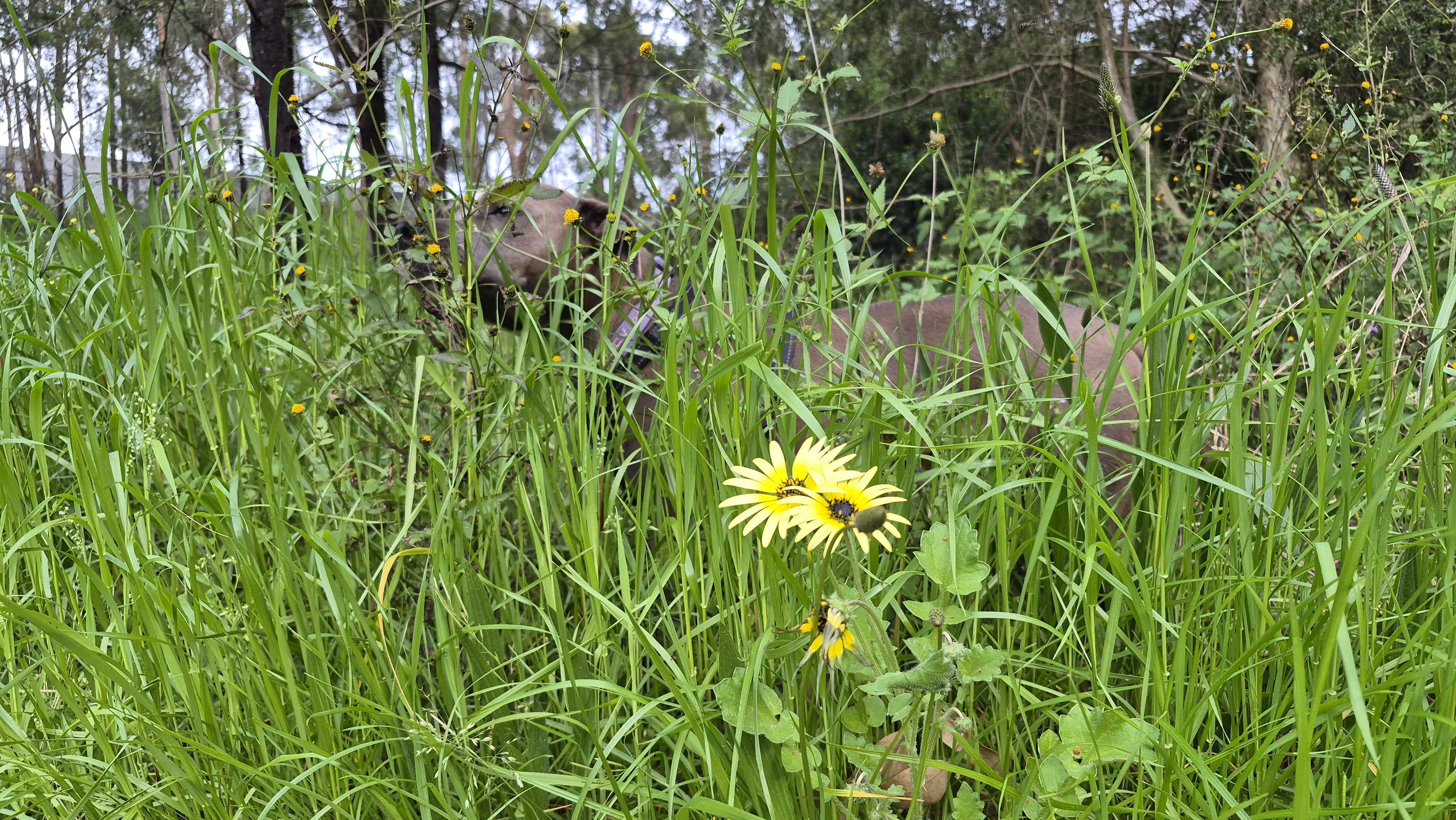 Photos taken with the Samsung Galaxy S25 FE