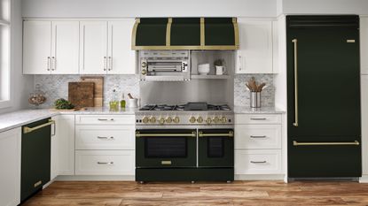 Green kitchen appliance trend