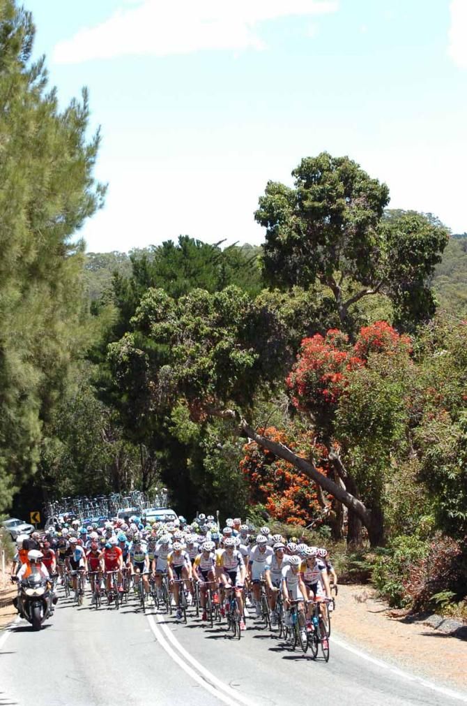 The peloton on stage 1 of the 2013 Tour Down Under.