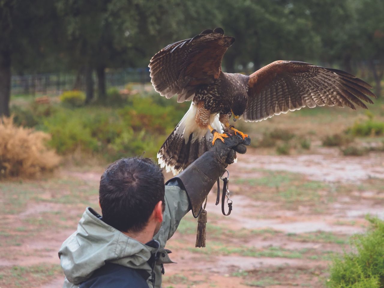 The autofocus response is exceptional: the OM-D E-M1 II&rsquo;s high-tech phase-detection system focused on this bird of prey in an instant