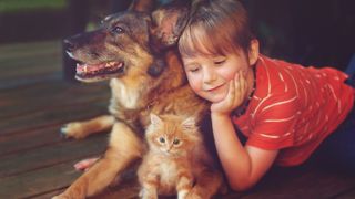 Little boy with dog and kitten