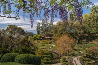 Japanese garden