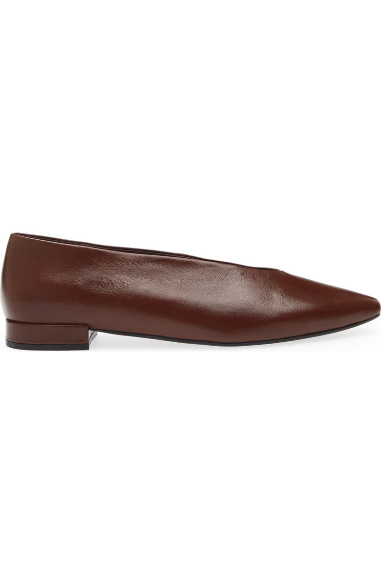 Hinted Pointed Toe Flat
