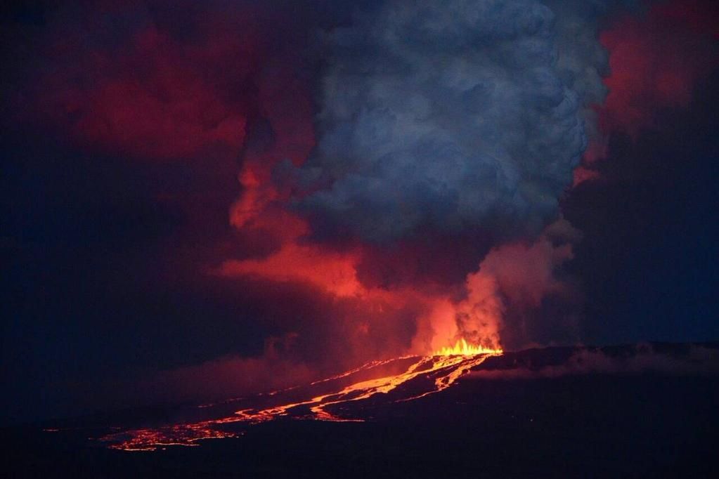 The Wolf volcano erupts on the Galapagos Islands.