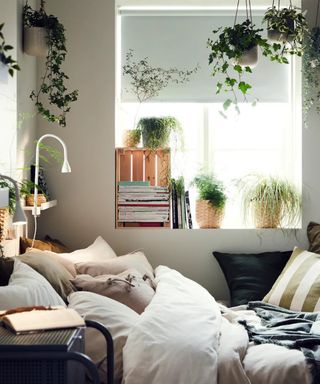 Cozy small bedroom with assorted cushions on bed in natural shades, and windowsill adorned with stacked books and assortment of potted and hanging houseplants.