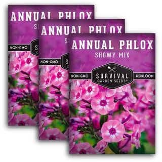 Annual Phlox Seeds