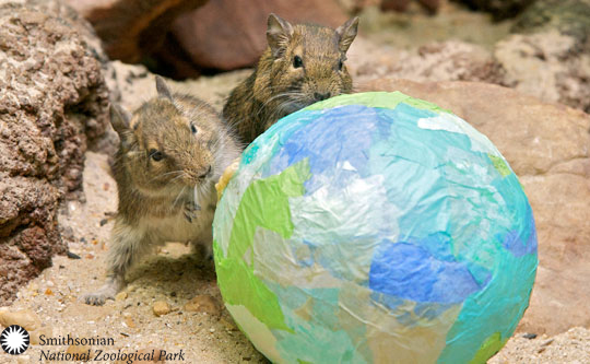 easter at the zoo