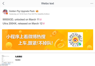 Golden Pig Weibo 9950X3D embargo