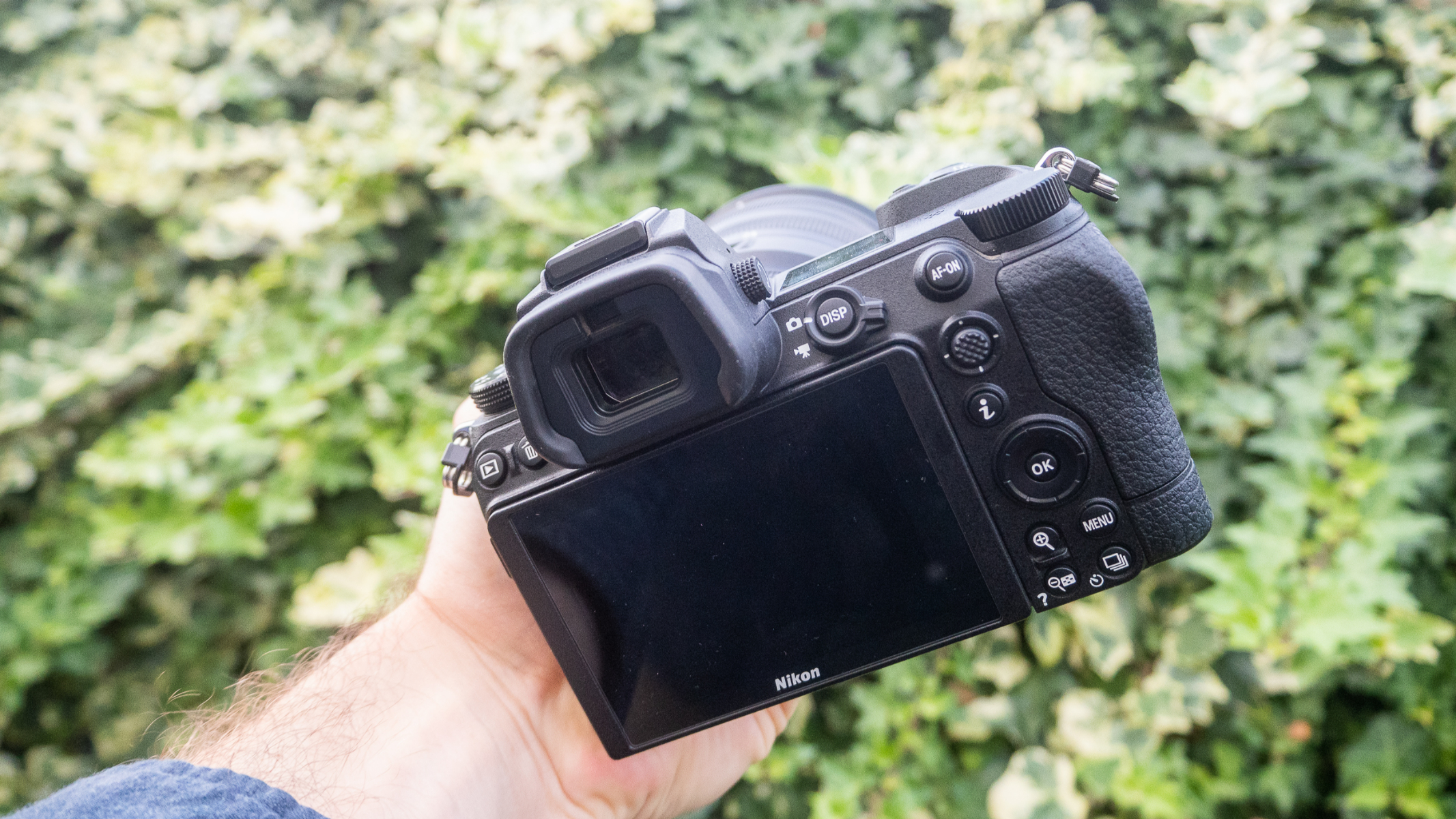 A photo of the Nikon Z6 ii