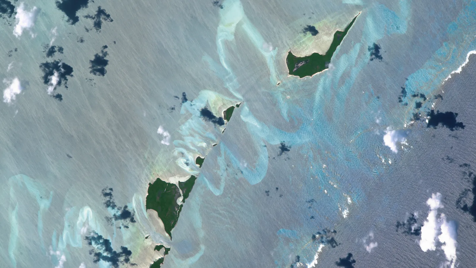 Post image 8
