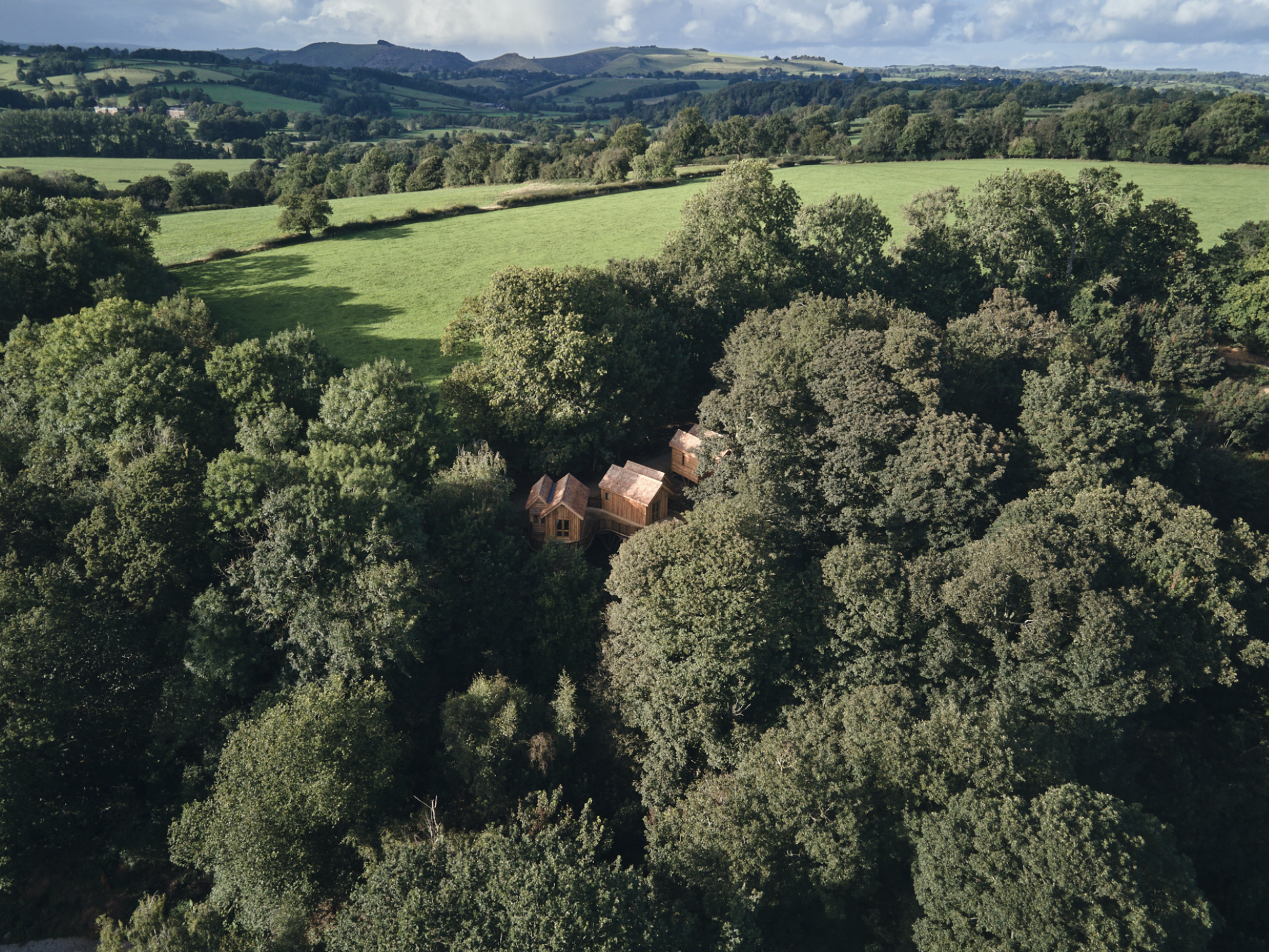 Wildhive at Callow Hall