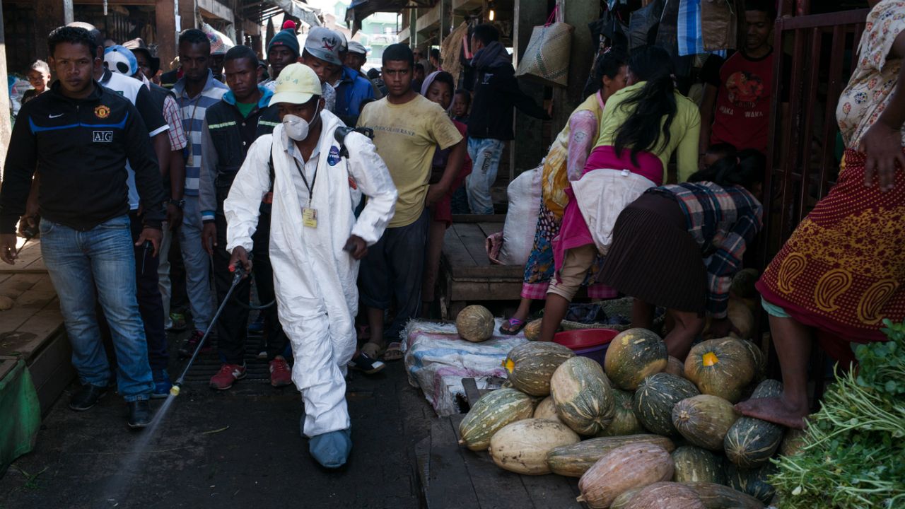 Madagascar Plague