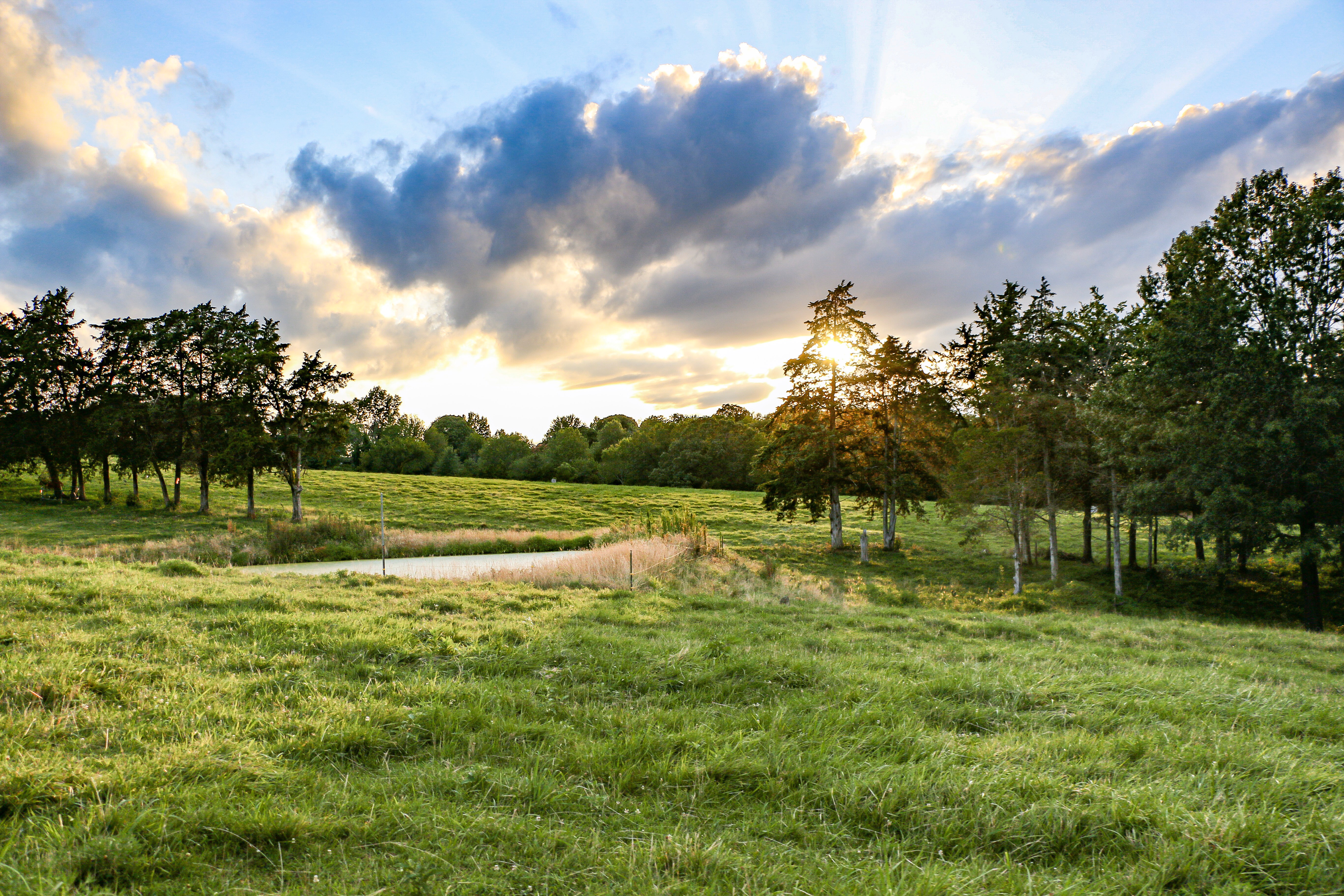 GuruShots - March 2026