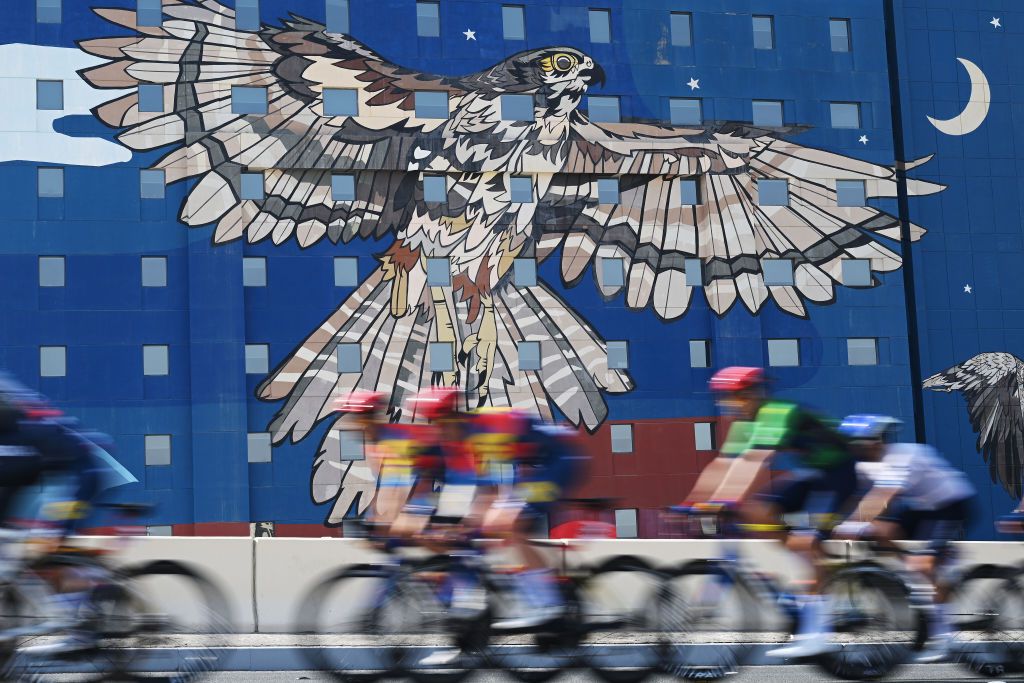 ABU DHABI UNITED ARAB EMIRATES FEBRUARY 22 A general view of Jonathan Milan of Italy and Team LidlTrek Green points jersey and the peloton passing in front of a graffiti decorating a wall during the 7th UAE Tour 2025 Stage 6 a 165km stage from Abu Dhabi Cycling Club to Abu Dhabi Breakwater UCIWWT on February 22 2025 in Abu Dhabi United Arab Emirates Photo by Dario BelingheriGetty Images