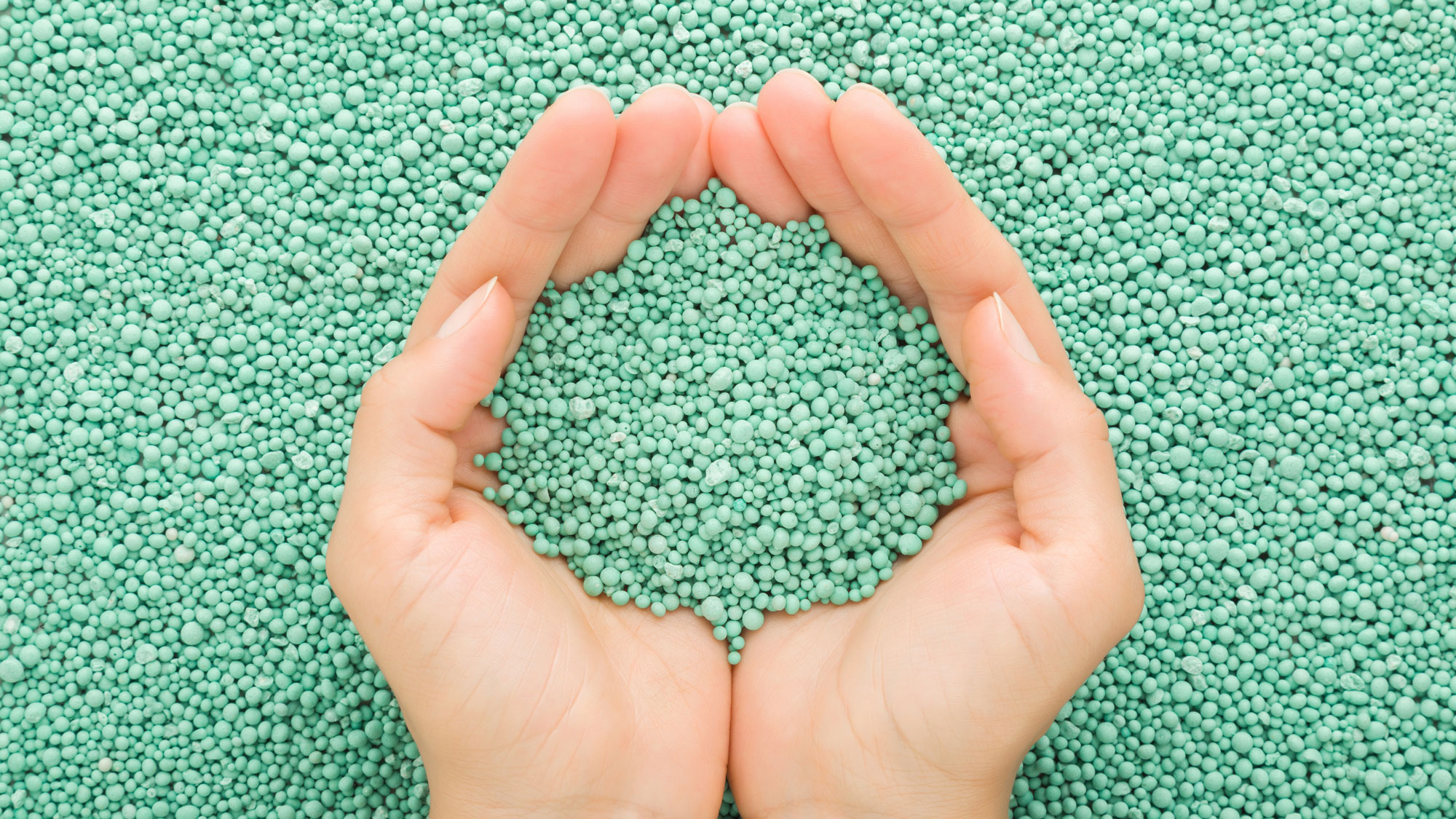 hands holding turquoise granular plant feed