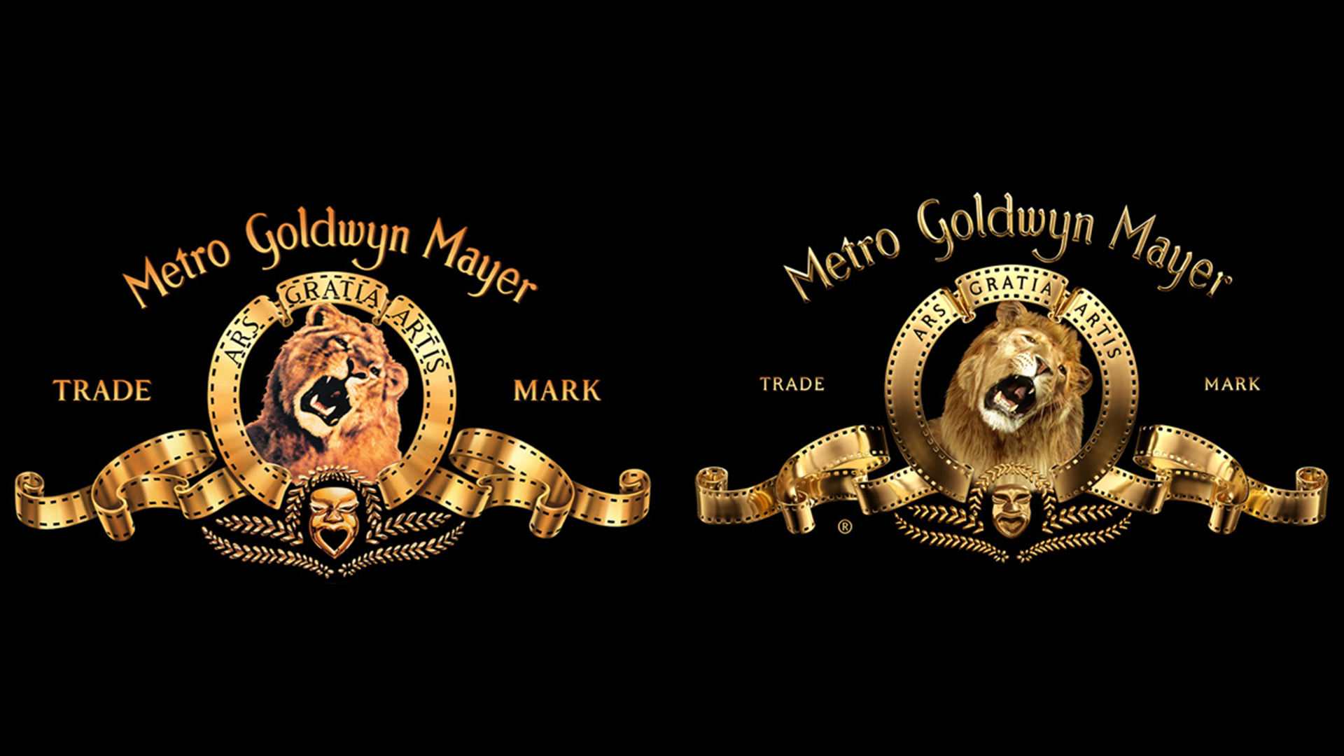 New MGM logo isn't exactly a roaring success Creative Bloq