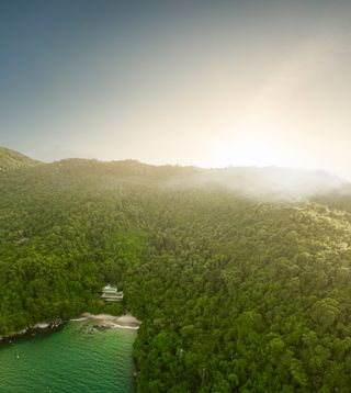 house seen from above among brazilian jungle casa paraty