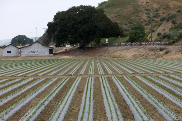 The peloton heads for Thousand Oaks