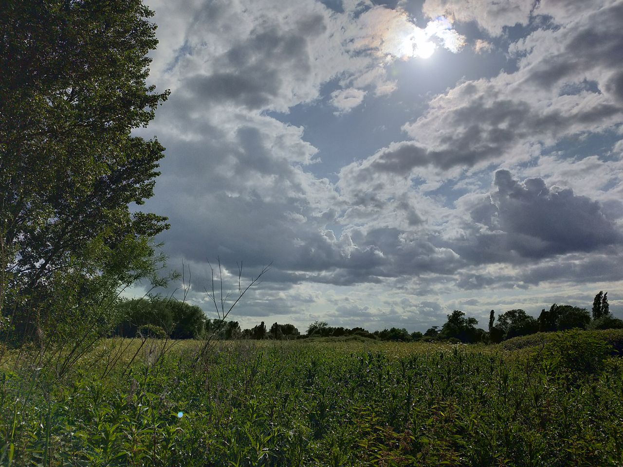 The Auto HDR can even handle extreme light contrast, like this. Image credit: TechRadar