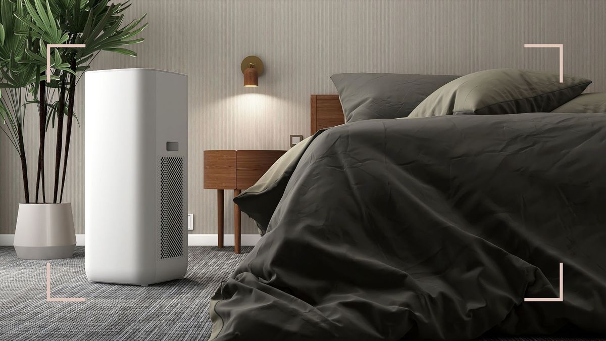 Is it bad to sleep with a dehumidifier on all night? Experts reveal the truth
