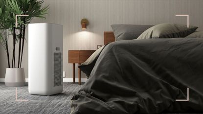 Grey bedroom with a dehumidifier to answer can you sleep with a dehumidifier on
