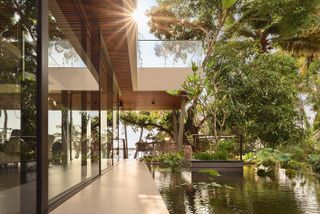 The Plumeria a concrete house engulfed in tropical foliage in India