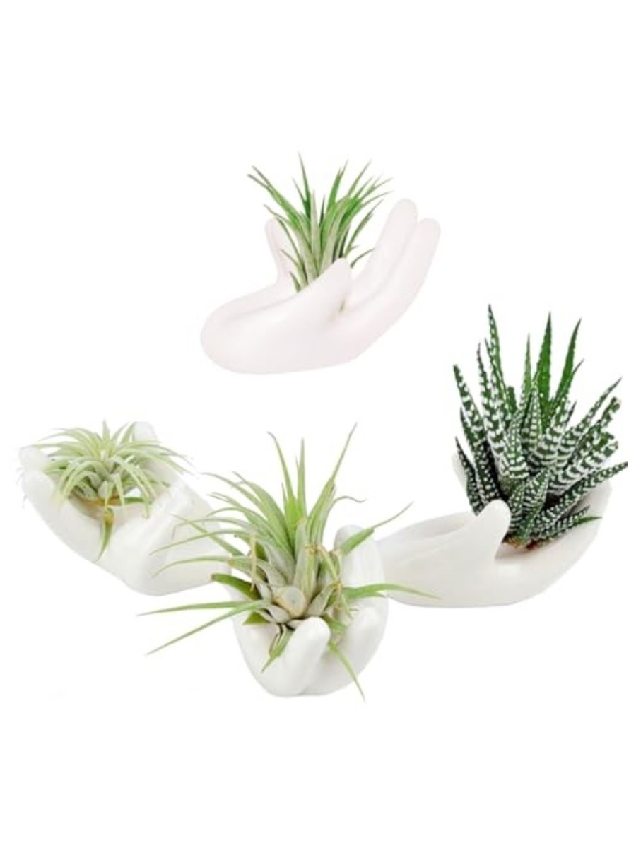 ourhommie, 4-Pack Ceramic Hands Air Plant Holder