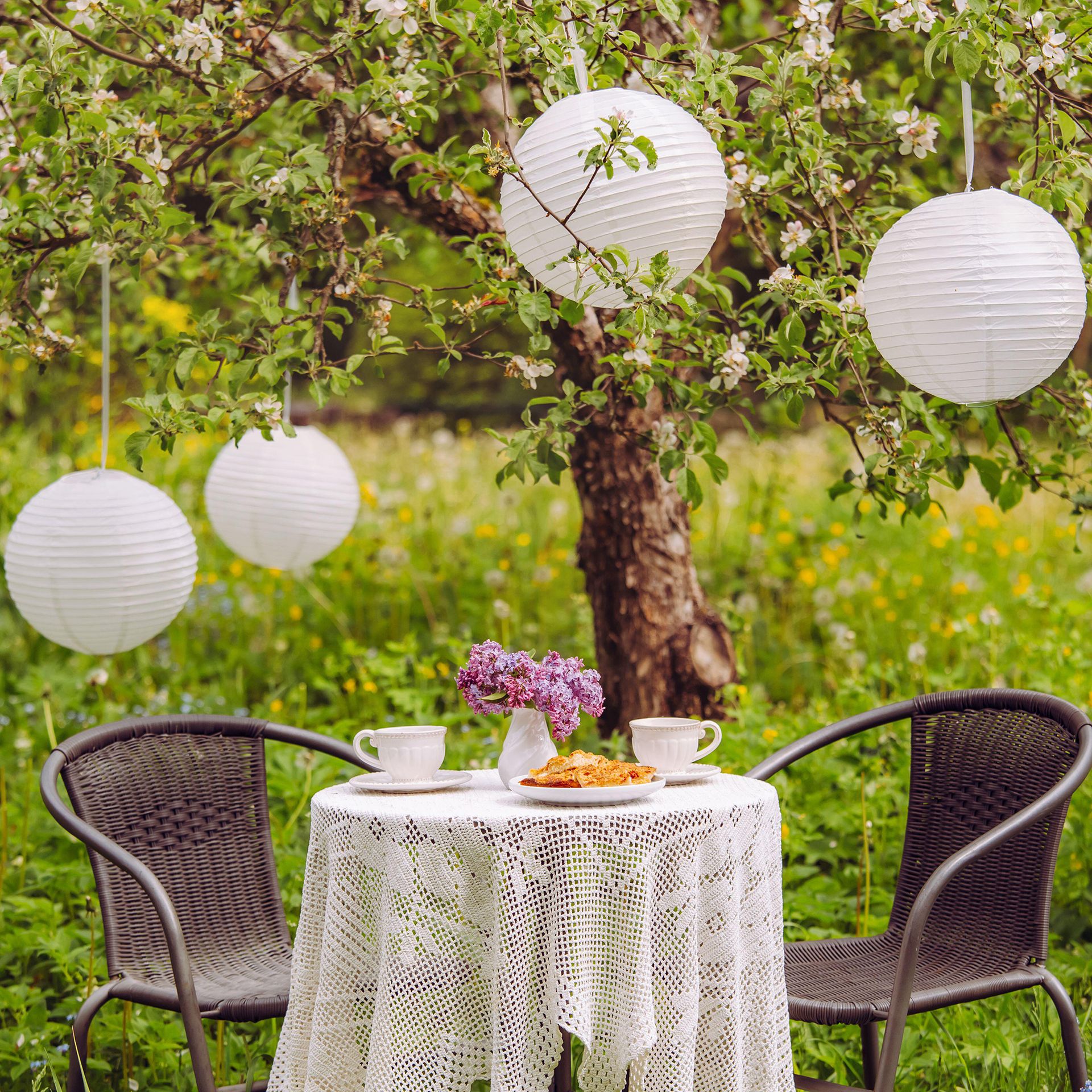 Outdoor tree light ideas 10 ways to illuminate your garden Ideal Home