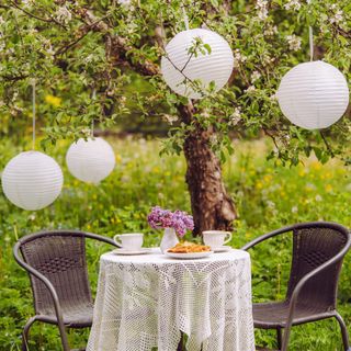 paper lanterns with tree light and table and chair