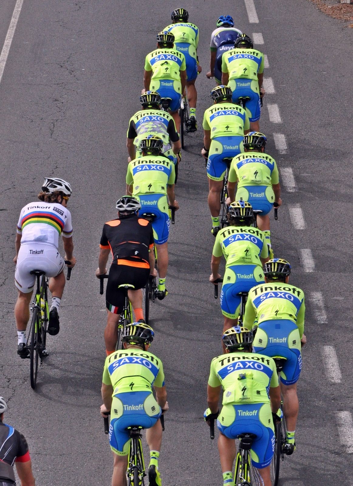 Peter Sagan's rainbow is easy to spot against the team kit of Tinkoff-Saxo