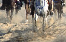 endurance