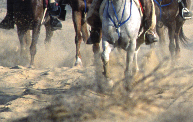 endurance